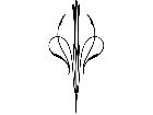  Pinstriping Designs 3 6 1 1 1 8 V A 1 Decal