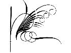  Pinstriping Designs 3 6 6 1 1 9 V A 1 Decal