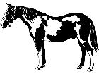  Pinto Horse 1 3 4 V A 1 Decal