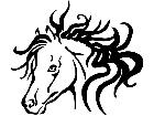  Pony Wild Hair Decal