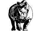  Rhino Decal