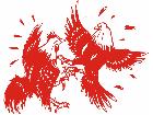  Roosters Fighting Decal