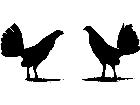  Roosters Pair Decal
