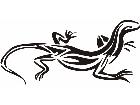  Salamander Lizard Decal