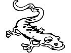  Salamander Lizard Flat Decal