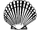  Scallop 1 4 0 V A 1 Decal