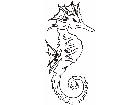 Seahorse 0 1 0 Decal