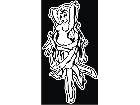  Sexy Lady Ropa Decal