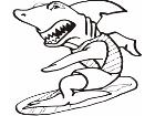  Shark Surfer Decal