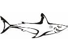  Shark Tribalized 0 0 1 Decal