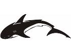 Shark Tribalized 0 0 4 Decal