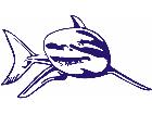  Shark Turn Decal