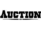  Sign Words Auction 2 1 4 V A 1 Decal
