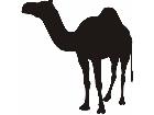  Silhouette Camel Decal