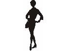  Silhouette Chalet Paris 6 0s Model Decal