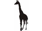  Silhouette Giraffe Decal