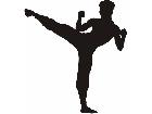  Silhouette Kung Fu Decal