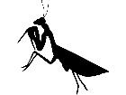  Silhouette Mantis Decal