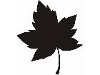  Silhouette Maple Leaf Decal