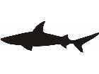  Silhouette Shark Decal