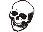  Skull 0 2 Decal