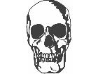  Skull 0 4 Decal