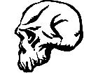  Skull 0 9 Decal