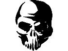  Skull 1 2 Decal