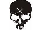  Skull 1 3 Decal