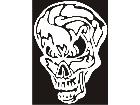  Skull Abstract Decal
