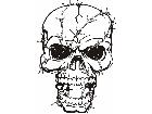 Skull Barbed Wire Decal