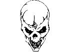  Skull Beast Evil Decal