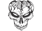  Skull Brains Open Decal
