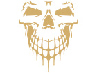  Skull Cool Frontal 1 Decal