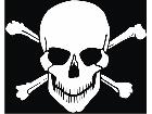  Skull Crossbones 0 1 Decal