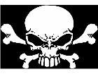  Skull Crossbones 0 6 Decal