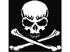  Skull Crossbones 0 8 Decal