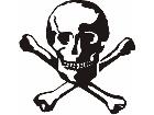  Skull Crossbones 1 1 Decal