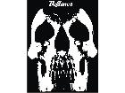 Skull Deftones Decal
