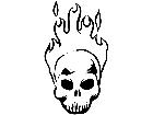  Skull Flamer 0 6 1 V A 1 Decal