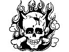  Skull Flames Crack Decal