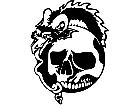  Skull Goat Snake Decal