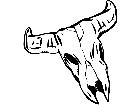  Skull Longhorn 2 0 6 1 V A 1 Decal