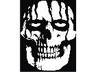  Skull Slimed Decal