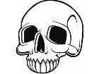  Skull Thick 0 0 5 Decal