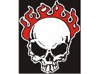  Skullflames Top C L 1 Decal