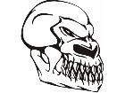  Skulls Bones 0 0 4 Decal
