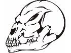  Skulls Bones 0 1 9 Decal