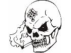  Skulls Bones 0 2 8 Decal