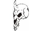  Skulls Bones 0 3 5 Decal